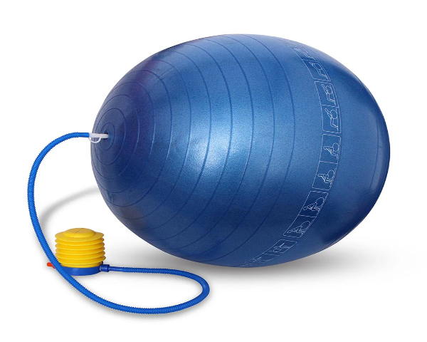 Therapy Ball (65cm)